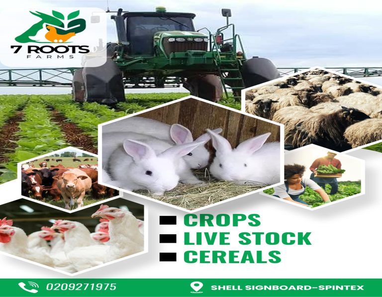 WhatsApp Image 2024-07-15 at 17.32.54_7dbaf1d0